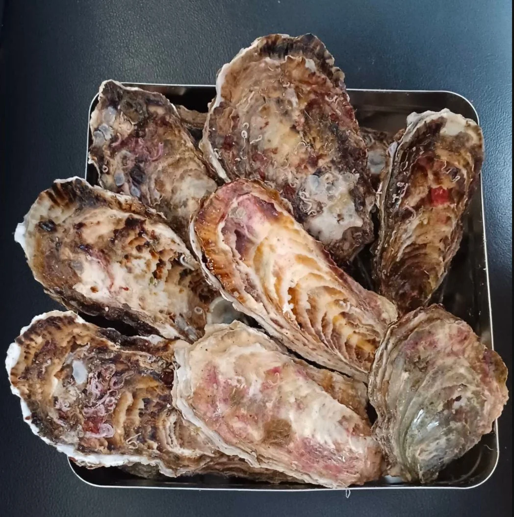三陸産真牡蠣のガンガン焼き
