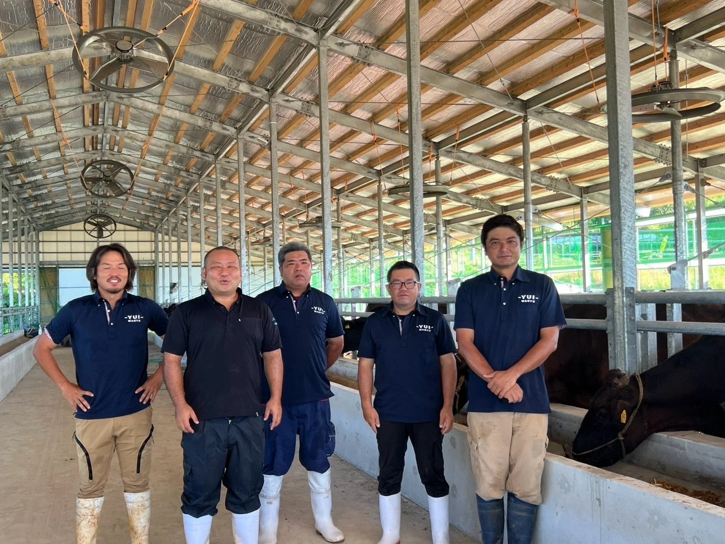 島結ファームの牛舎で働く人々
