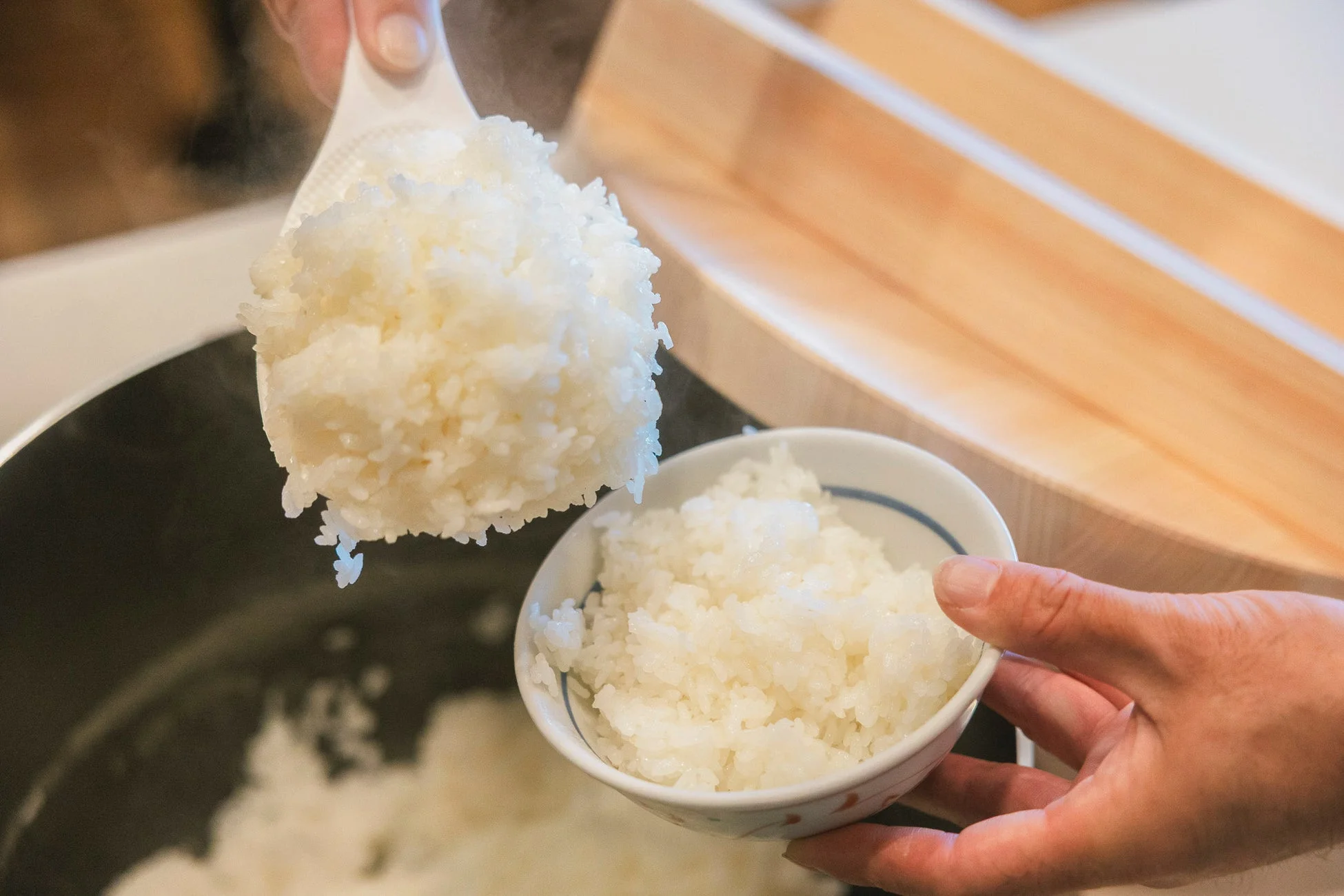 お茶碗によそわれる炊きたての白米